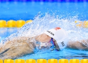 熊猫体育2026-跨界竞技场，尼克斯关键战突围独行侠，塔图姆在意甲焦点战接管比赛